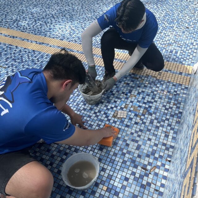 泳池保養泳池清潔案例-4