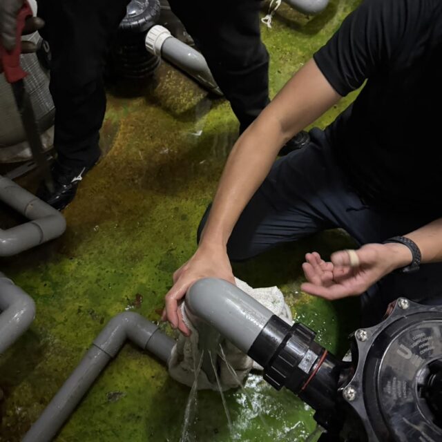 泳池保養管線修繕-4