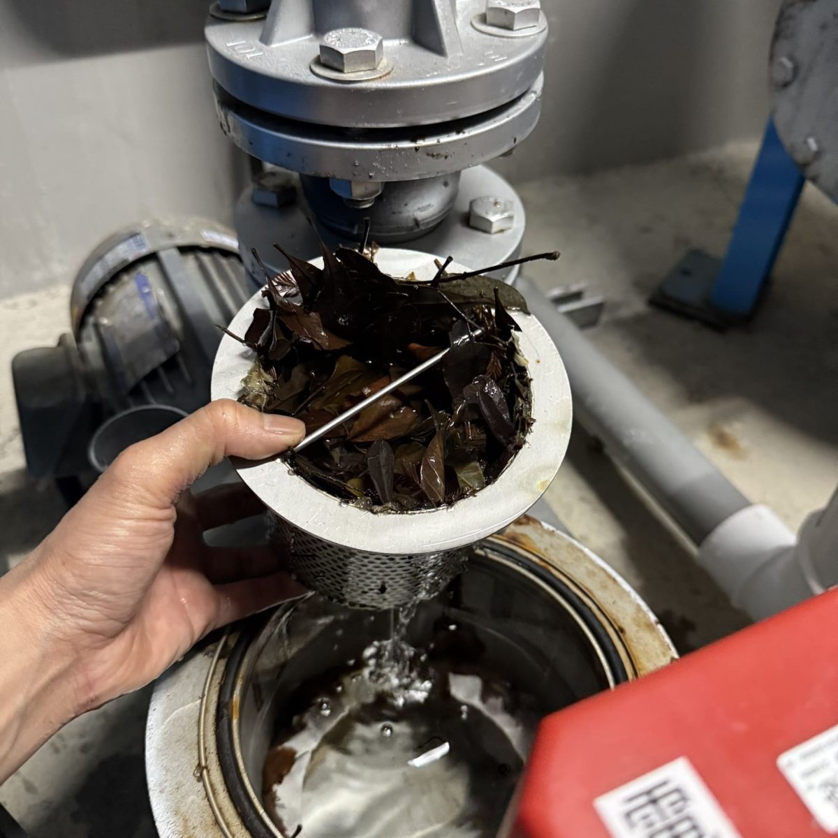 pool-filter-blockage-cleaning