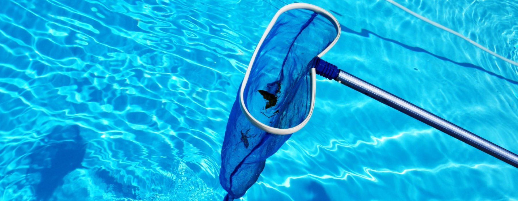 雙北泳池清潔保養服務-秋季泳池保養方式-2