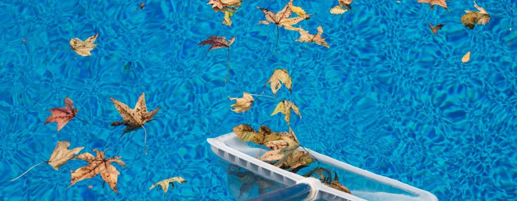 pool-maintenance-fall-社區泳池保養清潔