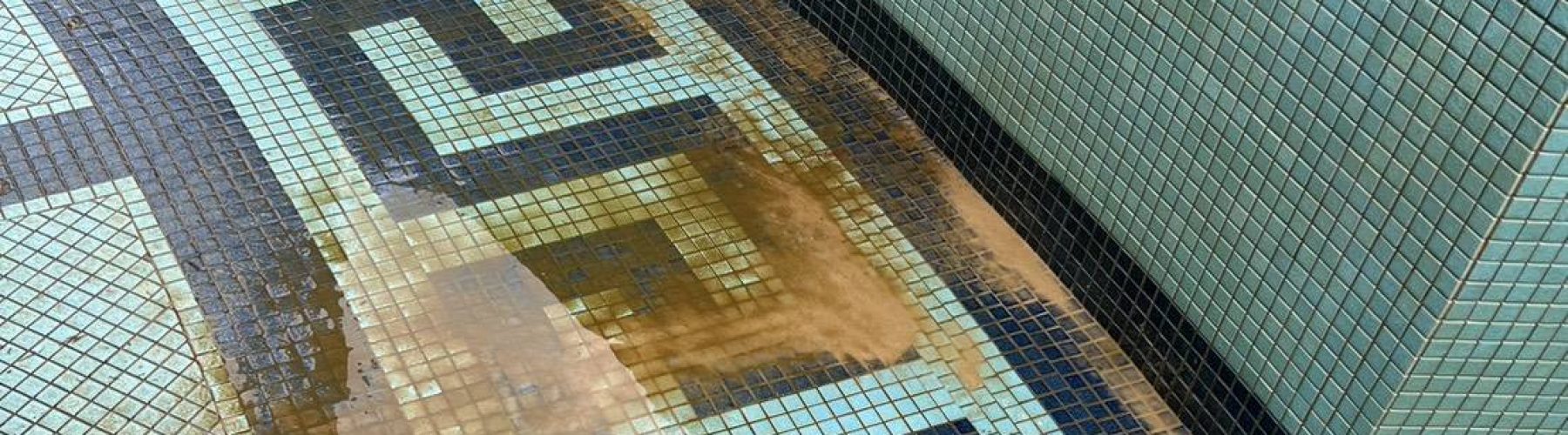 pool-tile-discoloration-before-closeup